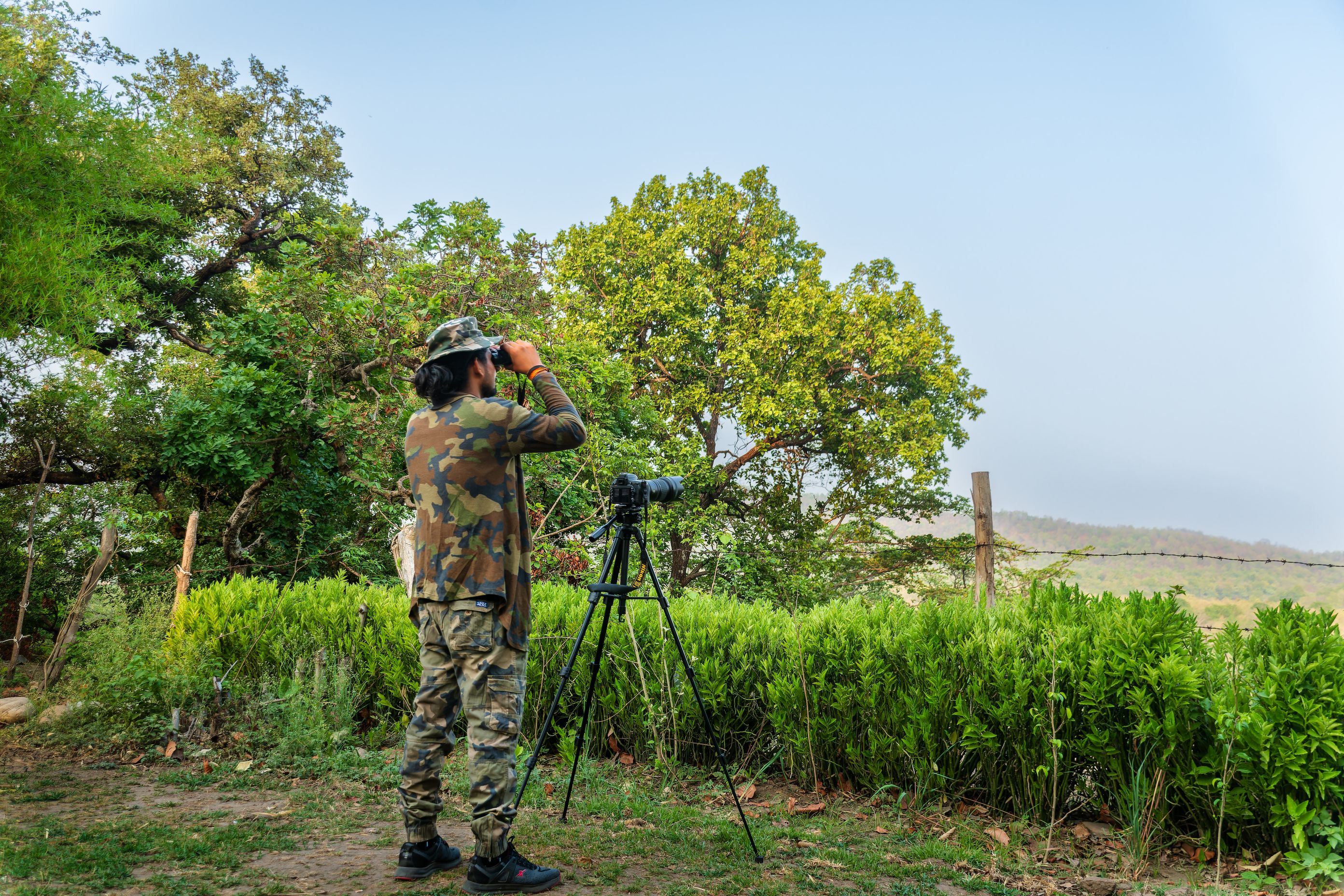 Wildlife Photography Tips for Your Jim Corbett Adventure