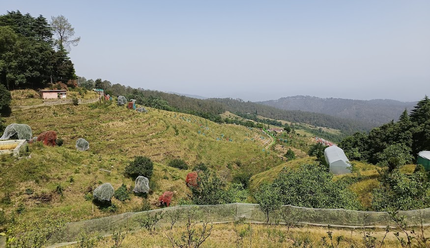 Chaubatia Gardens: A Hidden Gem in Uttarakhand